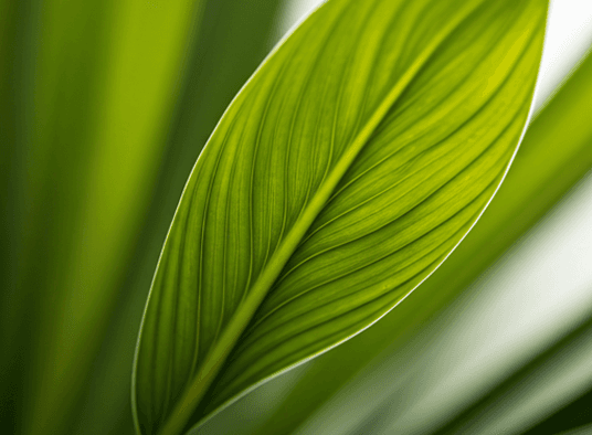 Green sustainability visual
